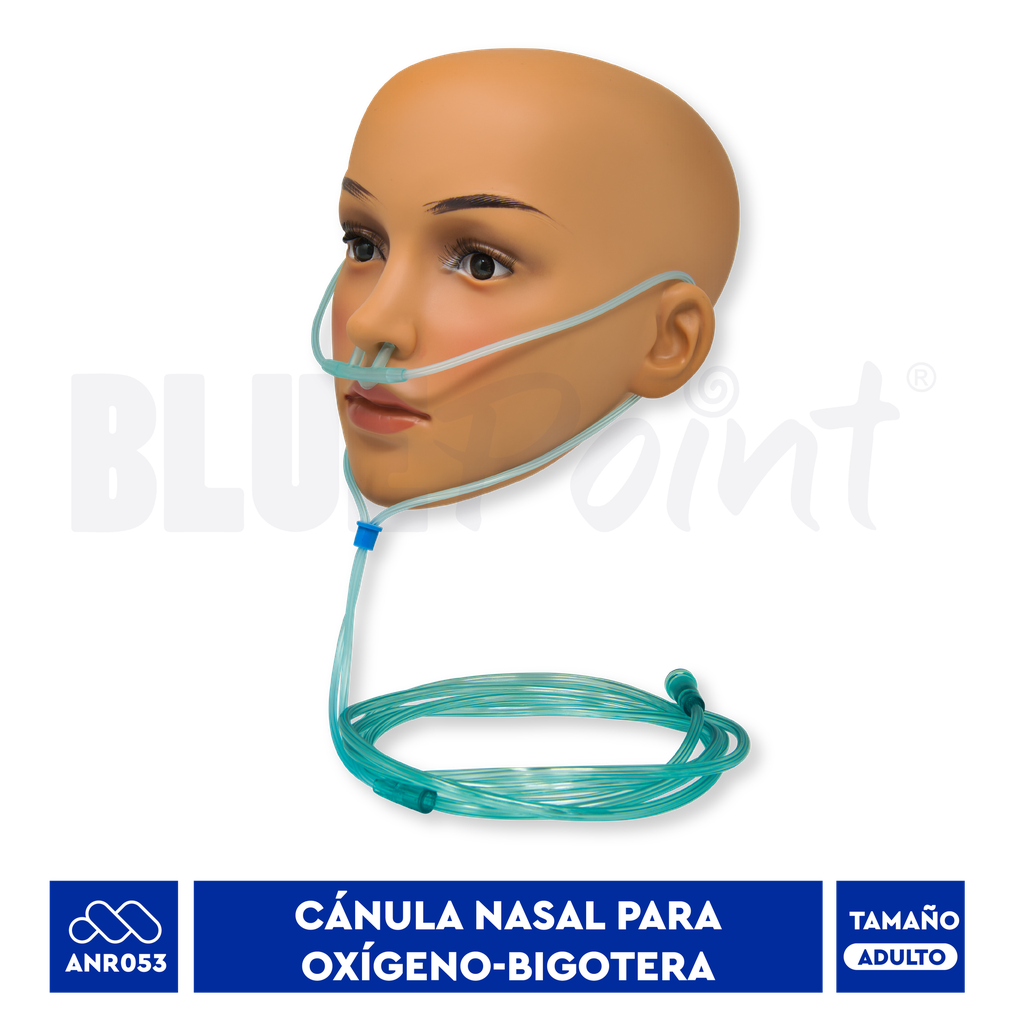BIGOTERA  Adulto Cánula Nasal De Oxígeno BLUEPOINT