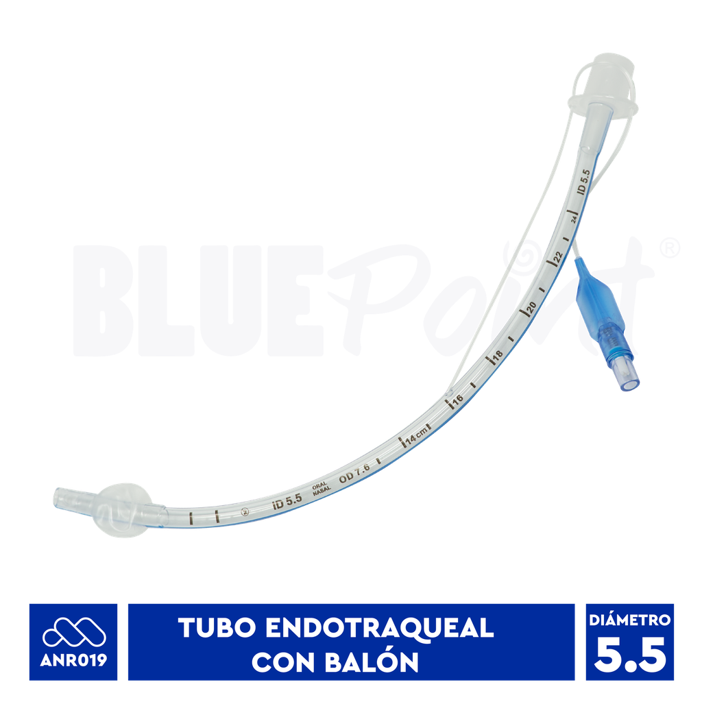 BLUEPOINT TUBO ENDOTRAQUEAL #5.5 CON BALÓN