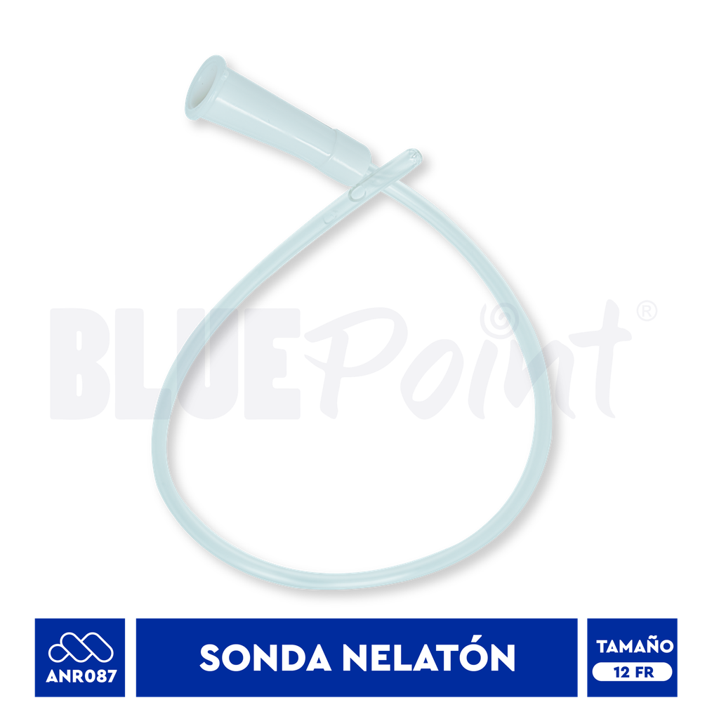 BLUEPOINT SONDA NELATON NO. 12